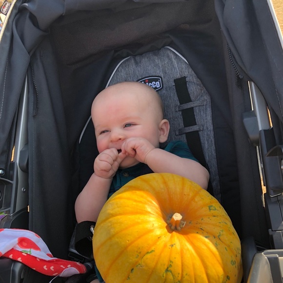 A Sunday afternoon - Picture 4 of 7